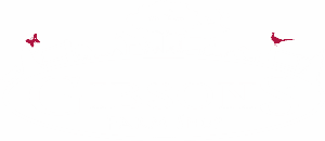 Gibson-Logo-Trans-all-white