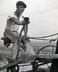 horse-cart