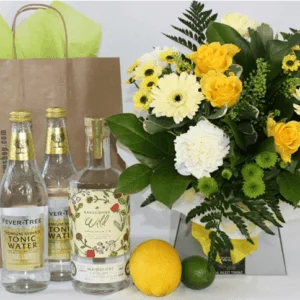 YLAPGP001 Yellow Aquapack with Kent Gin V1